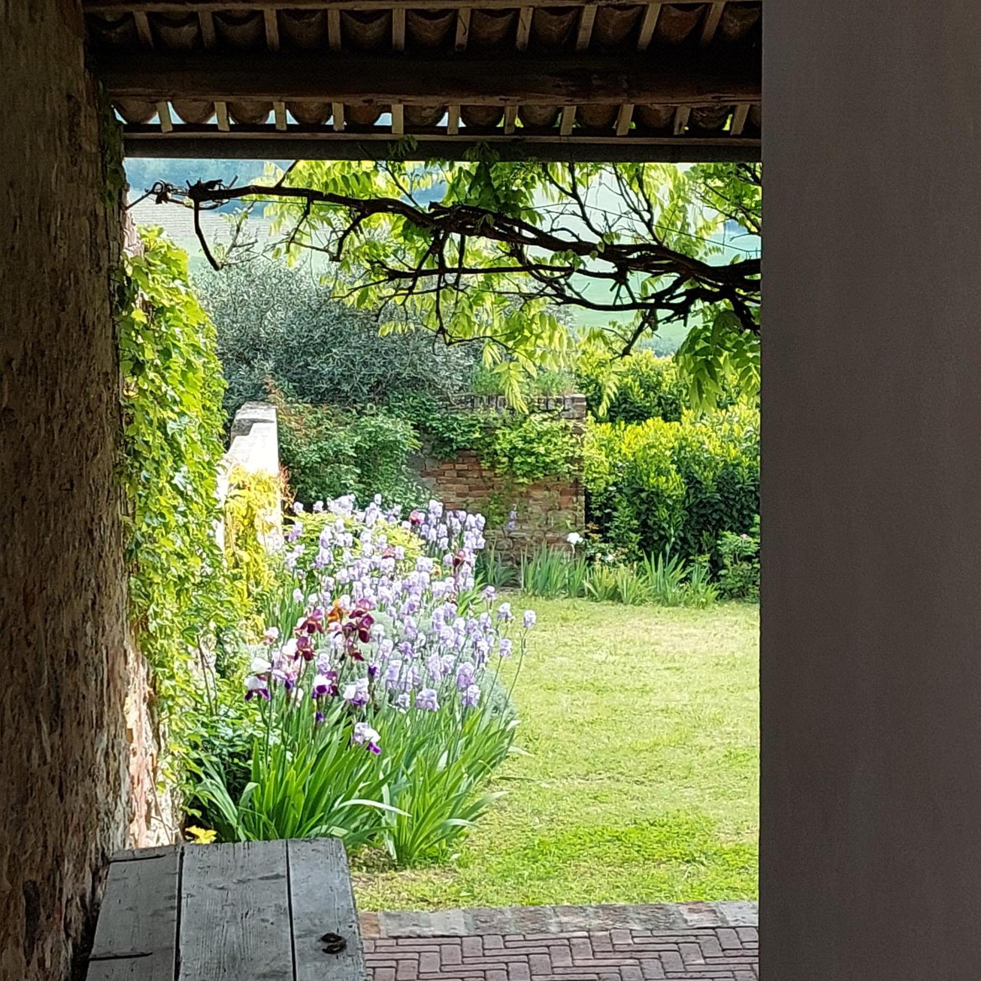 לינה וארוחת בוקר Alfiano Natta Casa Rovelli מראה חיצוני תמונה