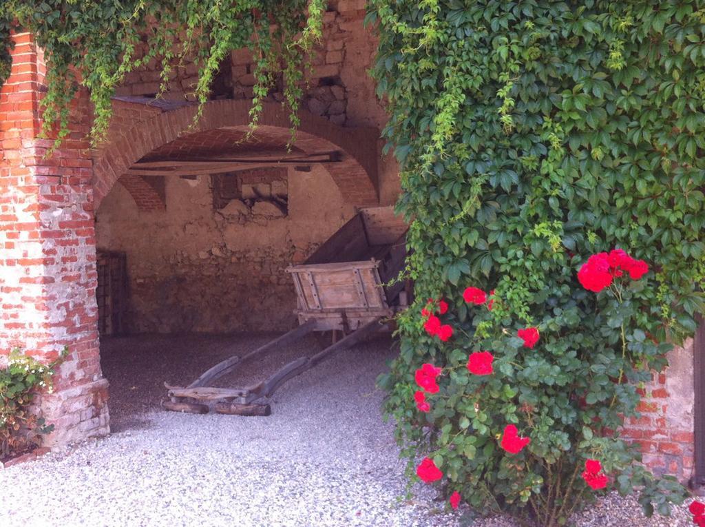 לינה וארוחת בוקר Alfiano Natta Casa Rovelli מראה חיצוני תמונה